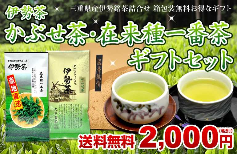 伊勢茶かぶせ茶在来種一番茶ギフト 送料無料
